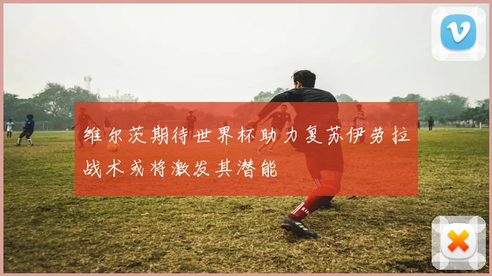 维尔茨期待世界杯助力复苏伊劳拉战术或将激发其潜能
